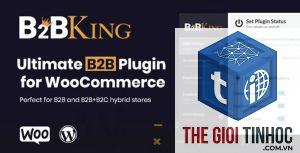 woocommerce b2b là gì
