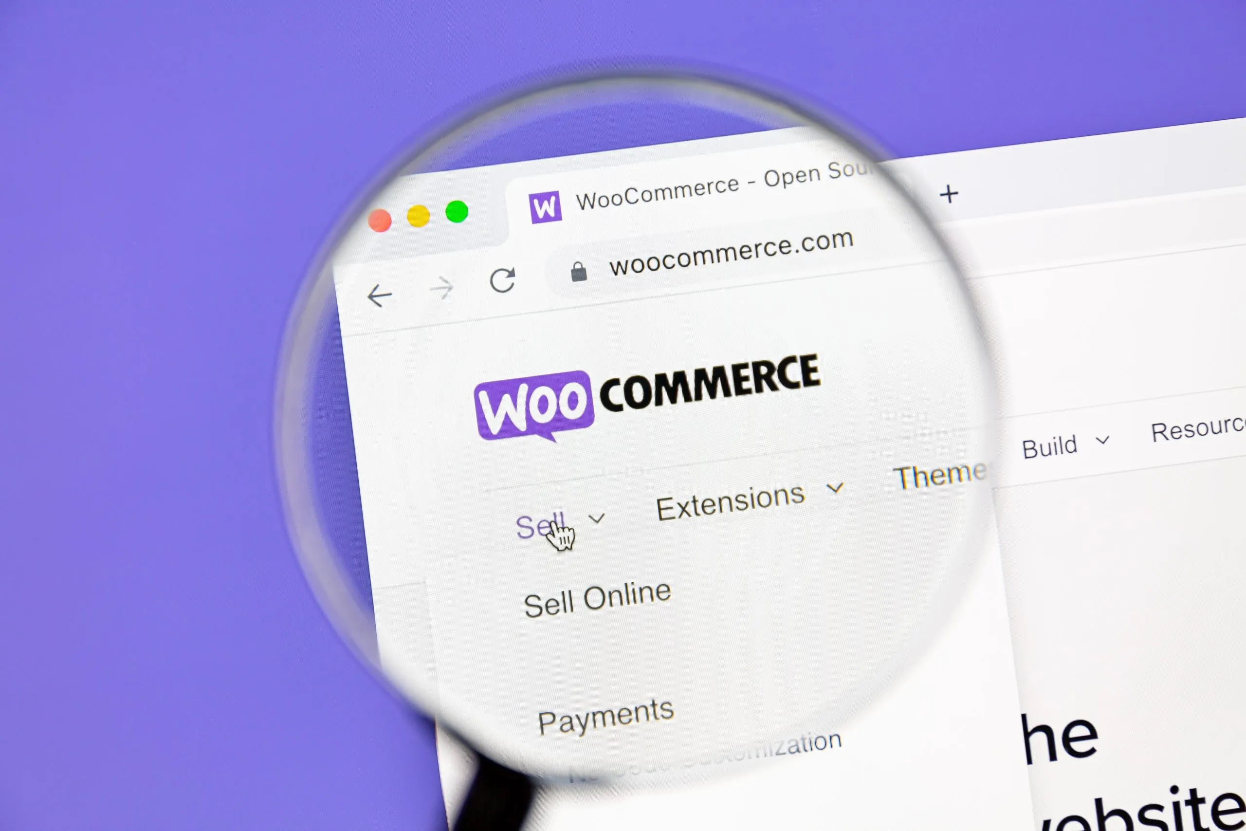 woocommerce cho thương mại điện tử - Hình 2