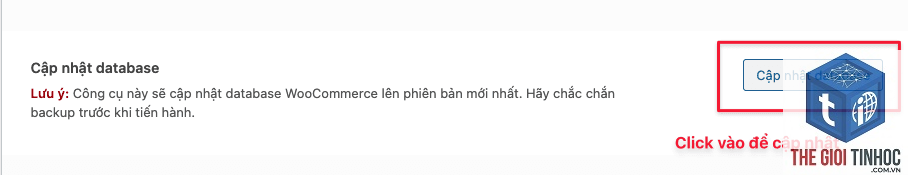 woocommerce database lock lỗi - Hình 1