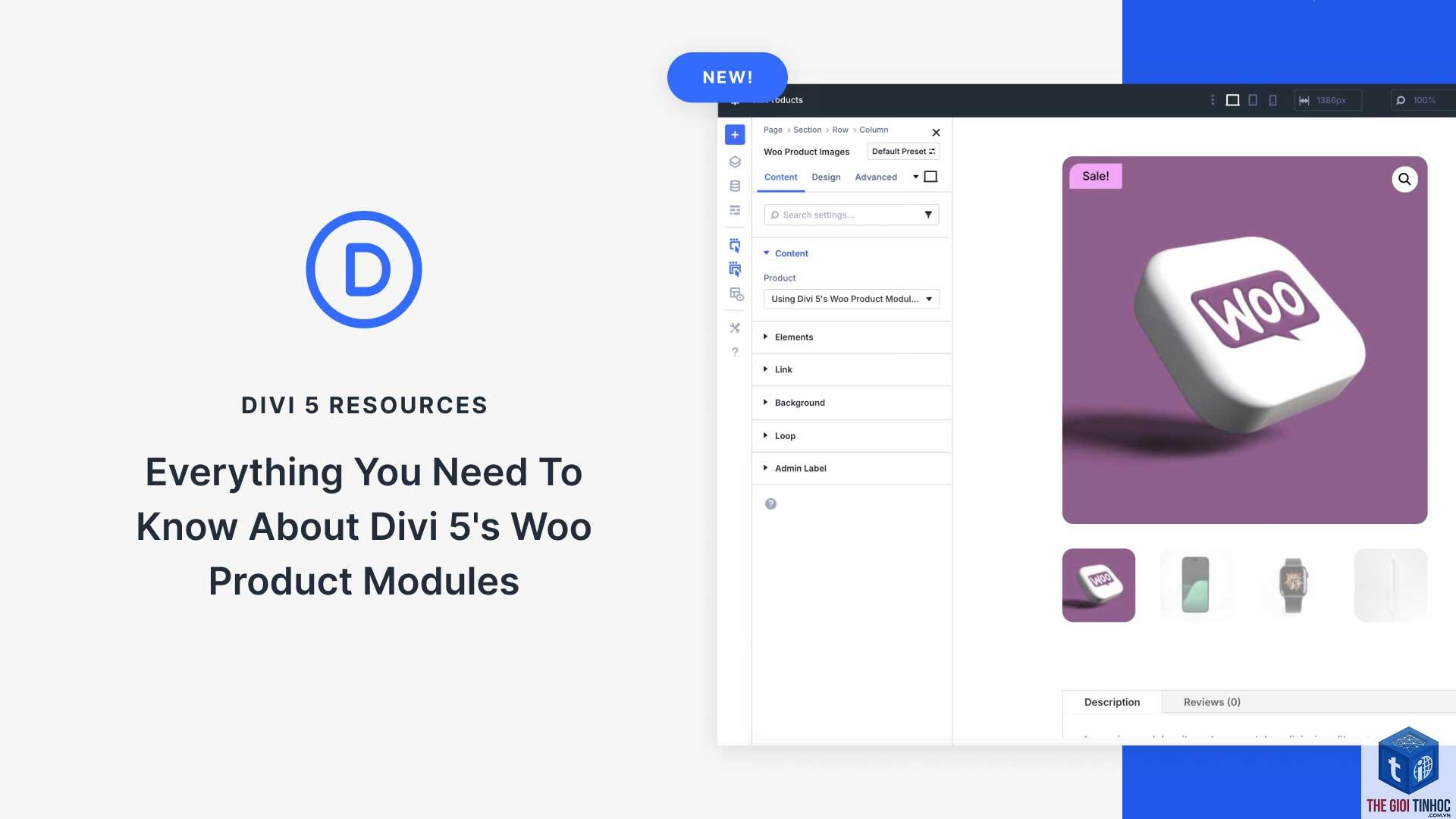woocommerce divi lỗi - Hình 3