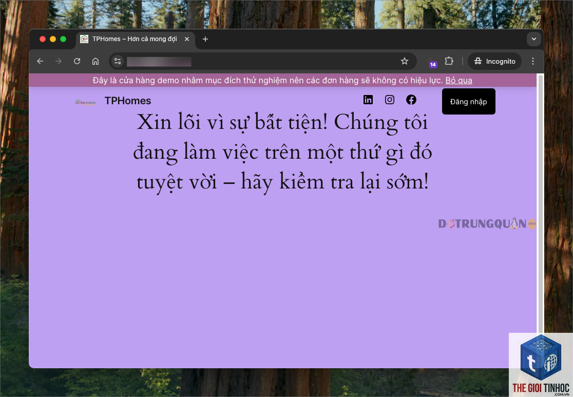 woocommerce đơn hàng bị mất - Hình 4