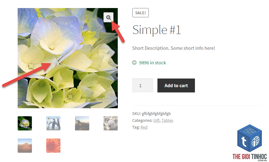 woocommerce lightbox lỗi - Hình 2