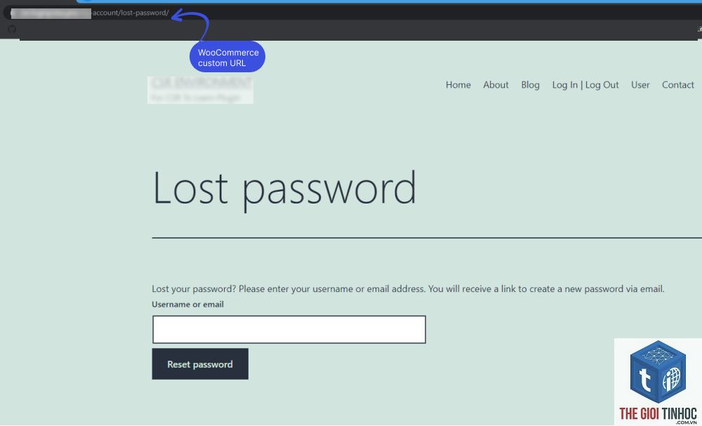 woocommerce lost password lỗi - Hình 4