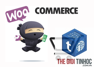 woocommerce polylang lỗi