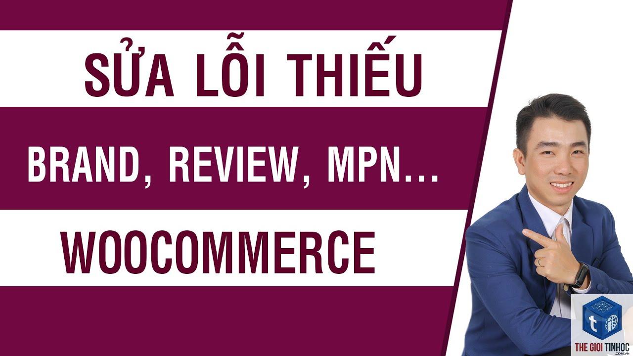 woocommerce product report lỗi - Hình 4