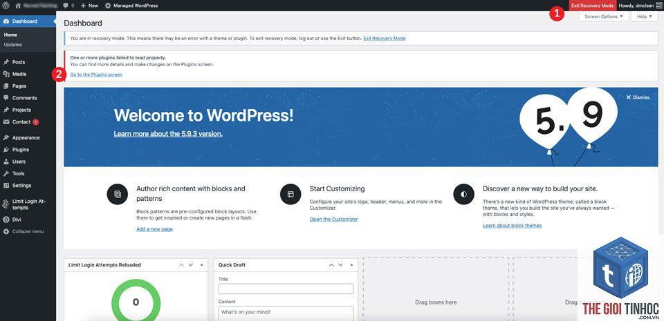 woocommerce recovery mode