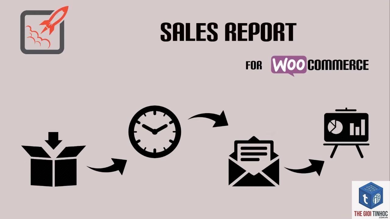 woocommerce sales report lỗi - Hình 5