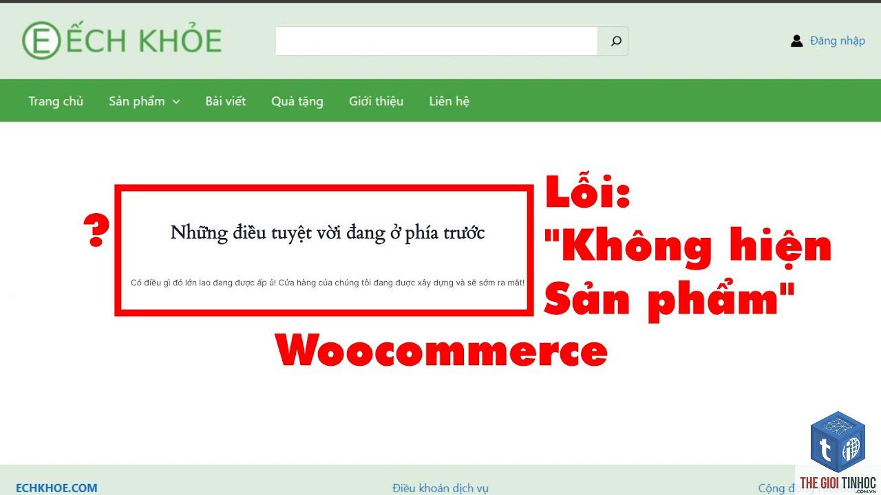 woocommerce stock không trừ - Hình 3