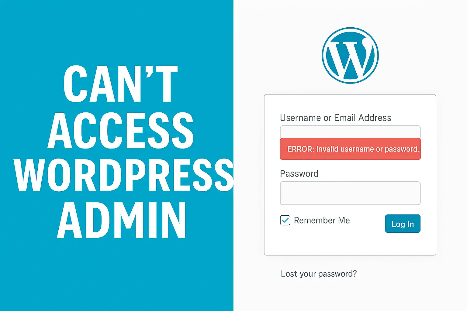 wordpress admin denied access - Hình 2