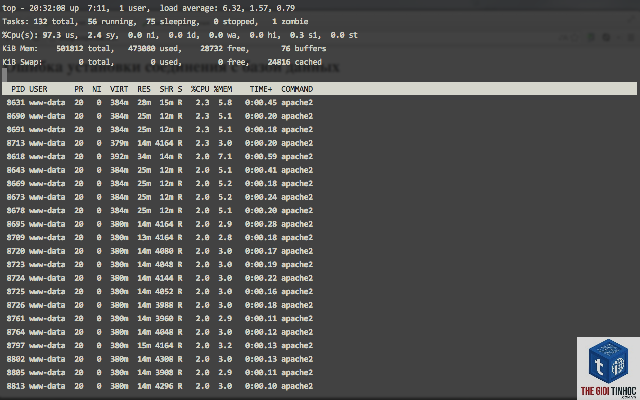 wordpress apache crash - Hình 5
