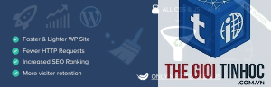wordpress asset optimization