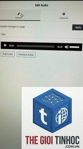 wordpress audio không phát