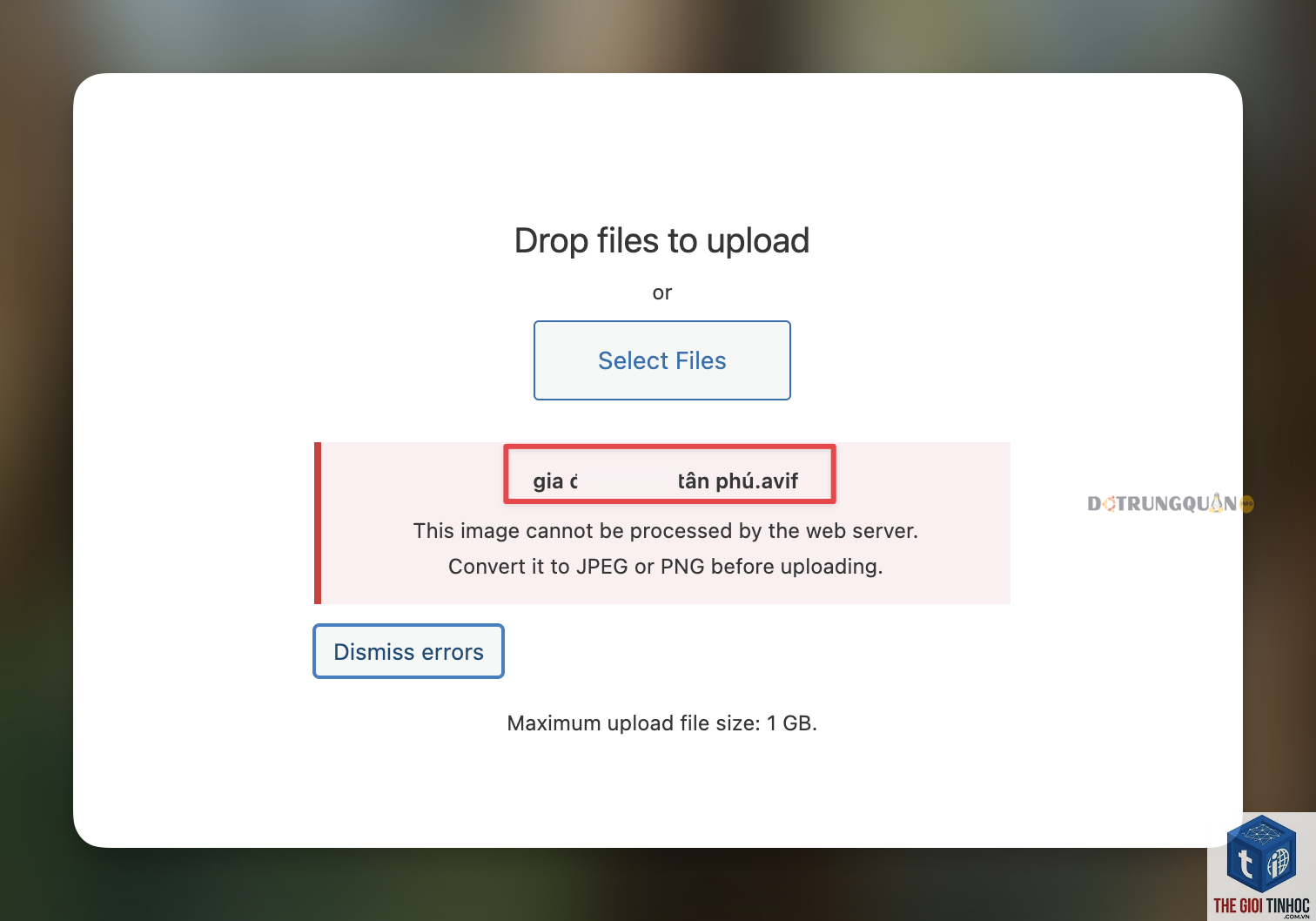 wordpress avif compatibility lỗi - Hình 1