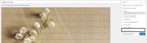 wordpress avif image broken