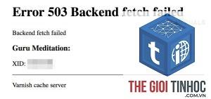wordpress backend fetch failed