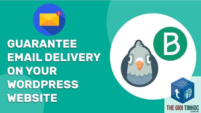 wordpress brevo spam issue - Hình 5