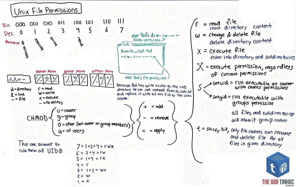 wordpress chmod lỗi