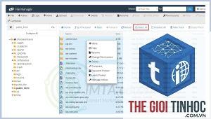 wordpress cpanel backup lỗi