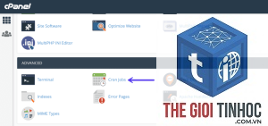 wordpress cpanel cron lỗi