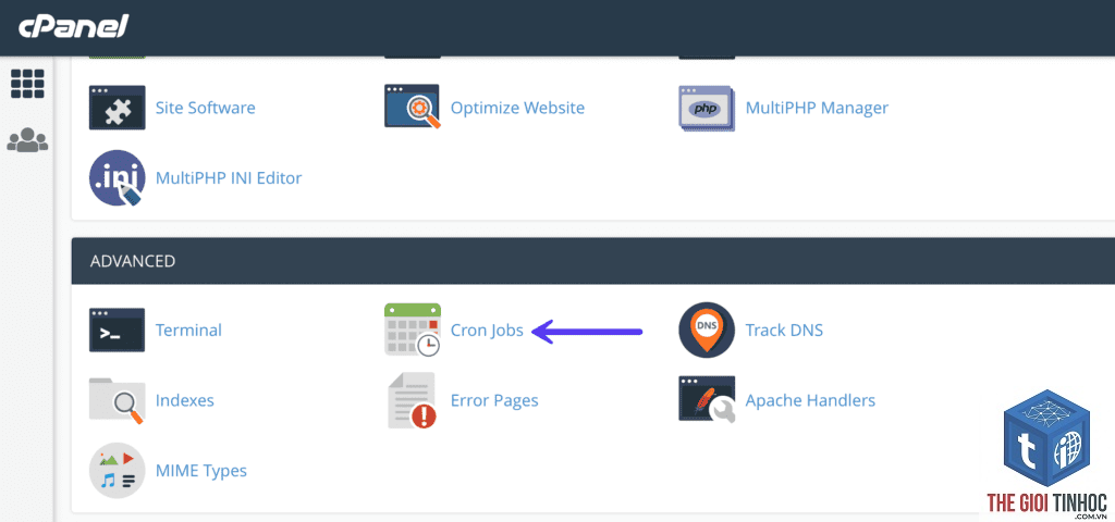 wordpress cpanel cron lỗi