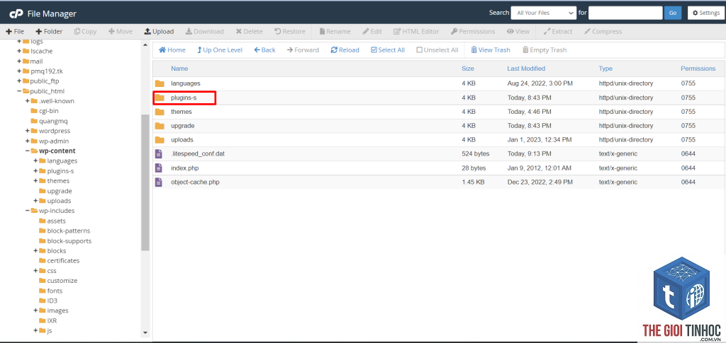 wordpress cpanel file manager lỗi