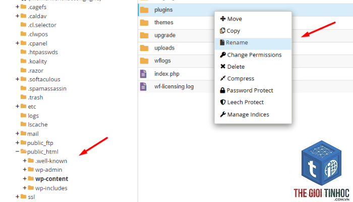 wordpress cpanel không truy cập được - Hình 4
