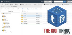 wordpress cpanel lỗi