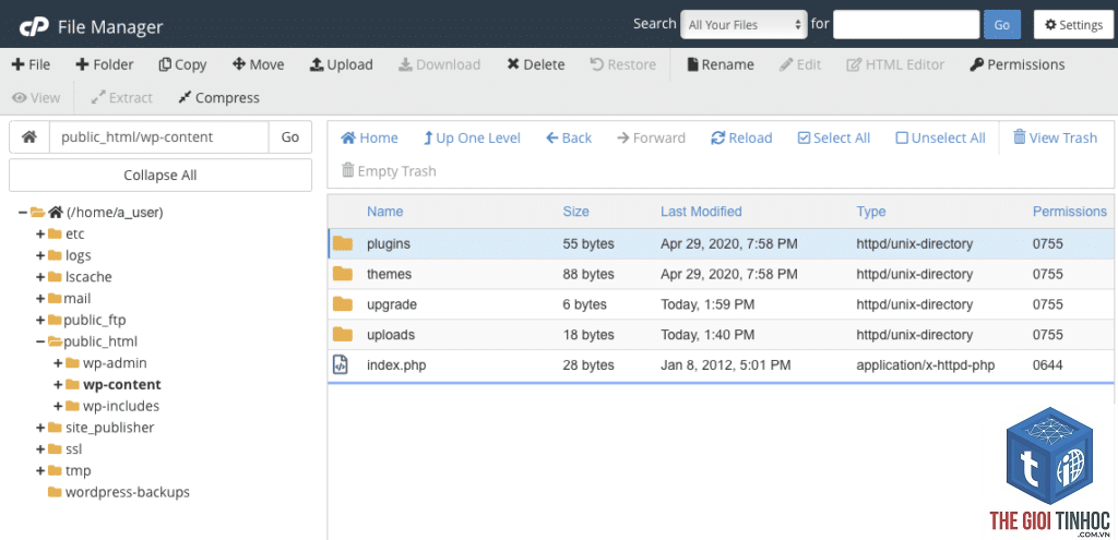 wordpress cpanel lỗi