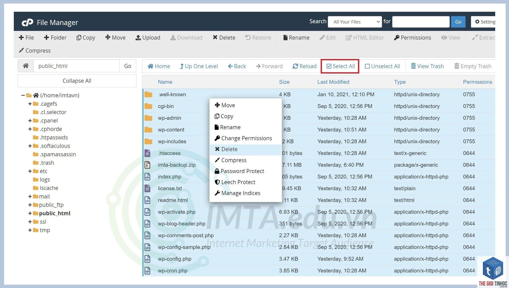 wordpress cpanel restore lỗi - Hình 4