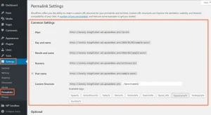 wordpress custom permalink error