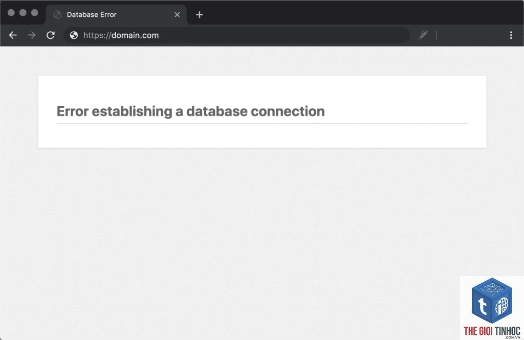 wordpress database connection error - Hình 5