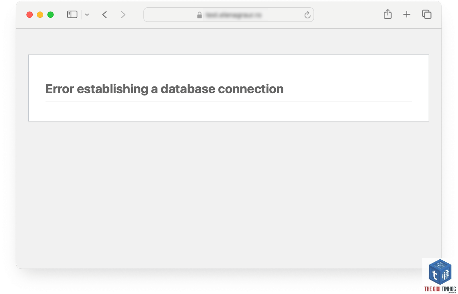 wordpress database connection refused - Hình 2