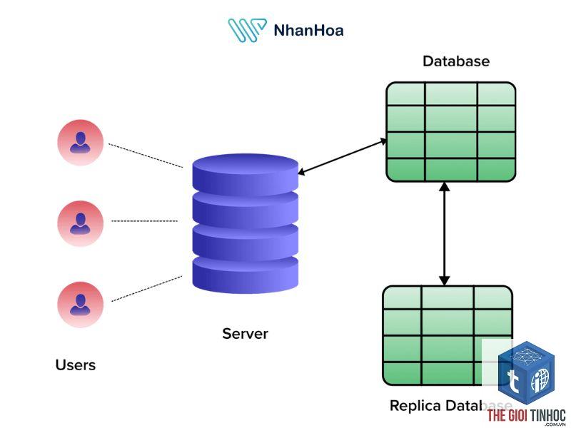wordpress database replication lỗi - Hình 2