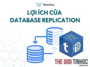 wordpress database replication lỗi