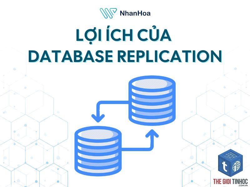 wordpress database replication lỗi
