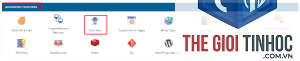 wordpress directadmin cron lỗi