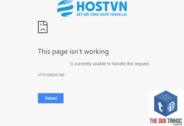 wordpress directadmin dns lỗi - Hình 5