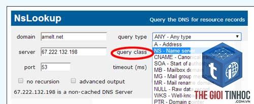 wordpress dns lookup failed