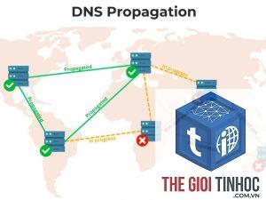 wordpress dns propagation lỗi