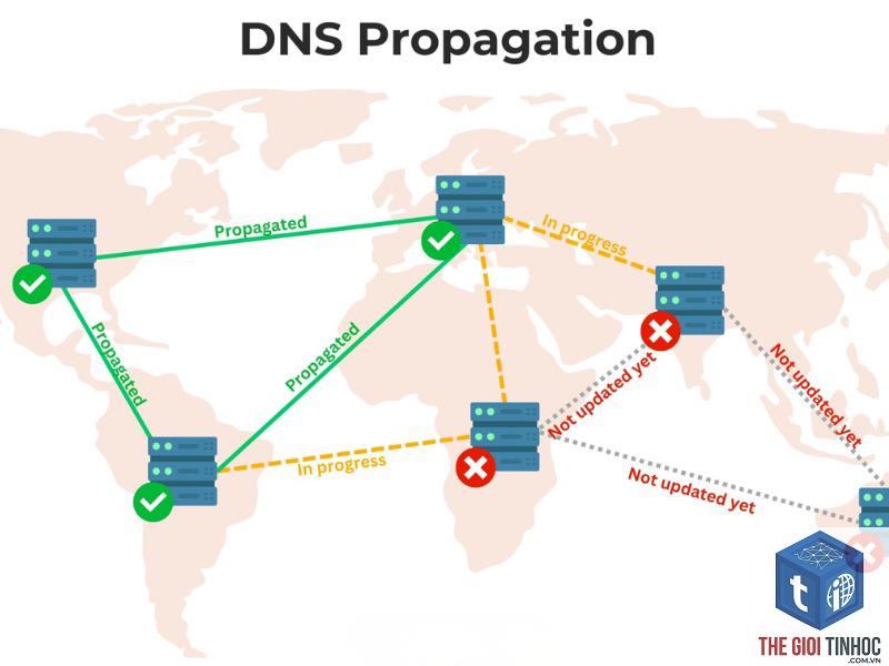 wordpress dns propagation lỗi