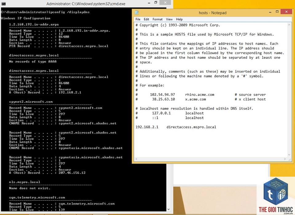 wordpress dns record lỗi - Hình 2