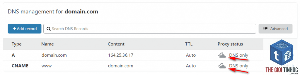wordpress dns record lỗi - Hình 4