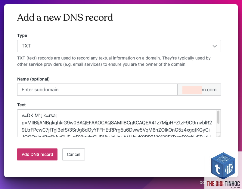 wordpress dns record lỗi