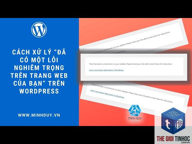 wordpress domain verification lỗi - Hình 3