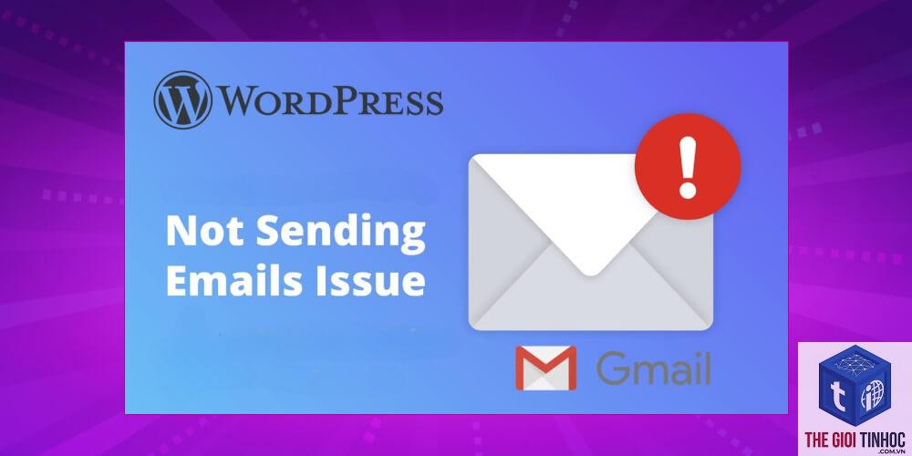 wordpress email campaign lỗi - Hình 4