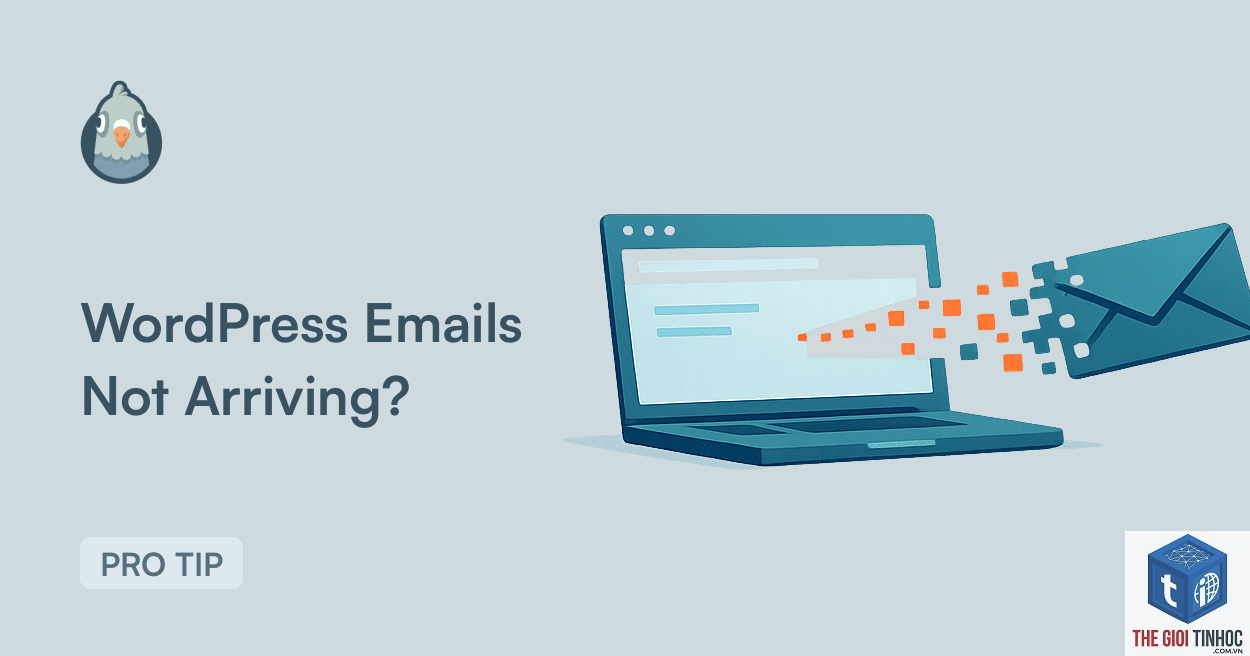 wordpress email diagnostics - Hình 5