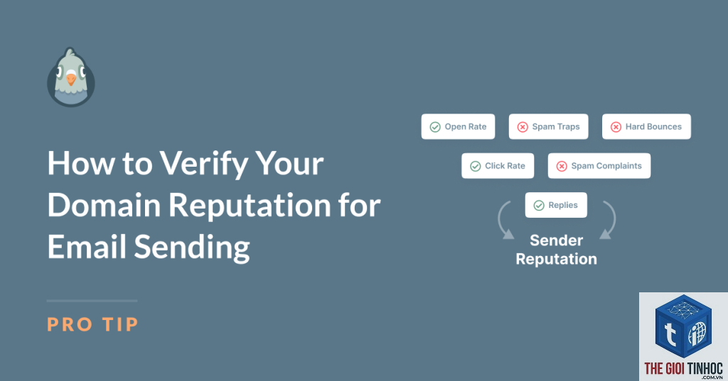 wordpress email domain reputation lỗi