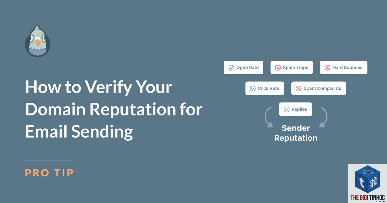wordpress email domain reputation lỗi - Hình 1