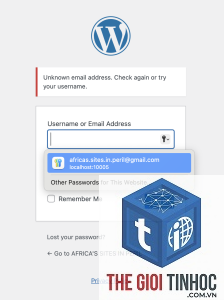 wordpress email rejected