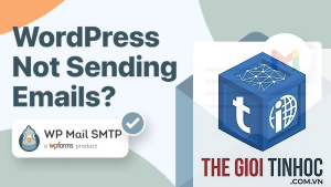 wordpress email reset mật khẩu không gửi